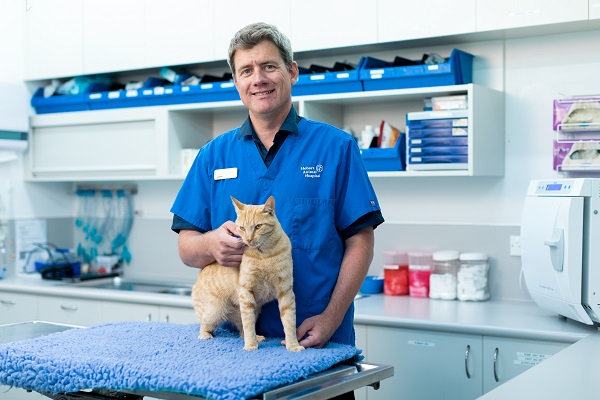 Hobart Animal Hospital Hobart Veterinary Care For Your Pets